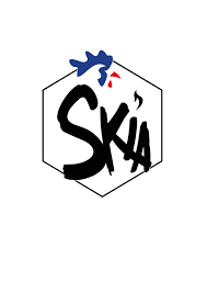 Installateur SKIA poêle à granulés